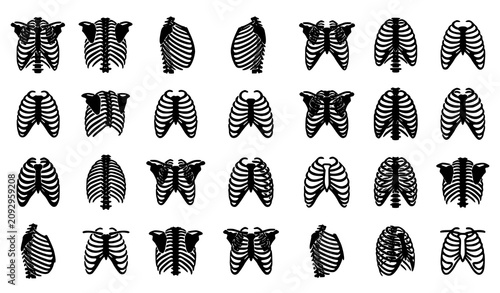 Quadro su tela Human Rib Cage Skeleton Silhouette Vector Set with Anatomical Thoracic Bone Illu