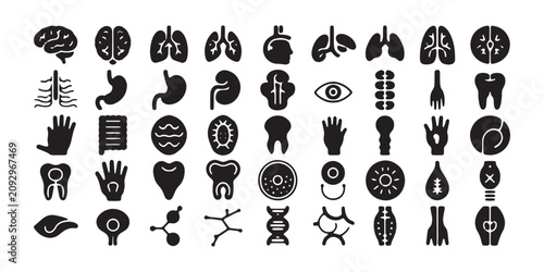Foto Human internal organ icons featuring brain lungs stomach kidney heart eye and skeletal bone anatomy