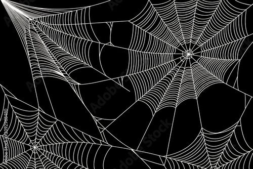Detailed white spider web patterns isolated on a black background