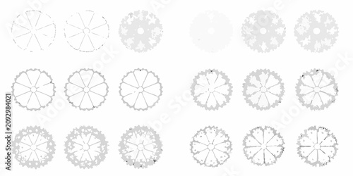 Quadro su tela collection of twelve top down tree plan views in grayscale vector view silhouett