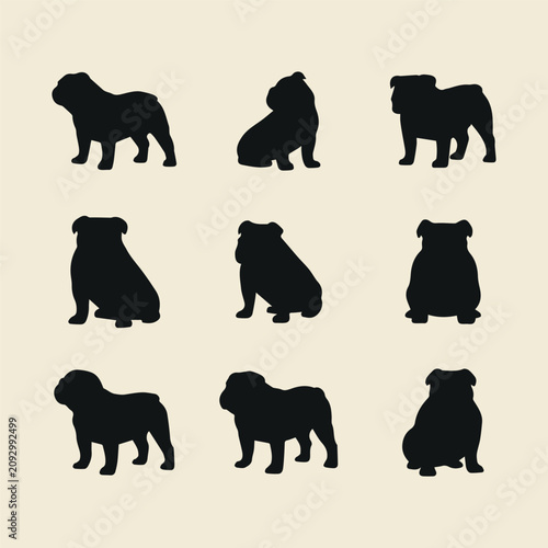 Foto Set of English Bulldog silhouettes, black dog icons in various poses for logo an