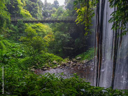 Rainforest Waterfall with Bridge