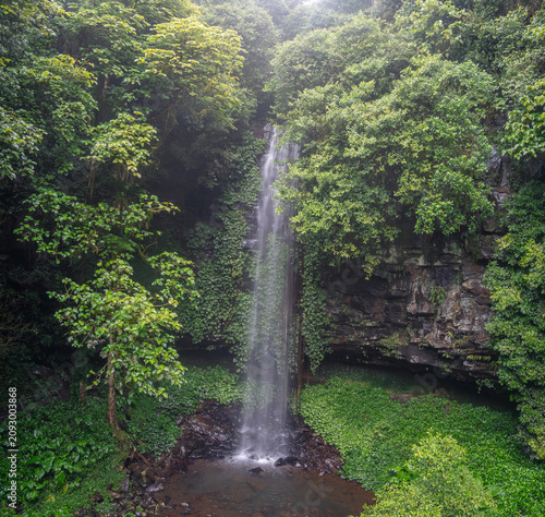 Rainforest Waterfall