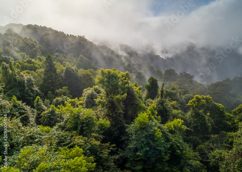 Misty Mountain Scene