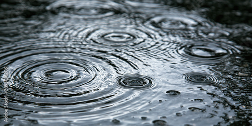 Ripples on a puddle with raindrops