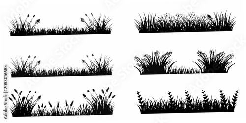 Fotografía Black Silhouette Illustrations Of Grass And Wildflowers On White Background