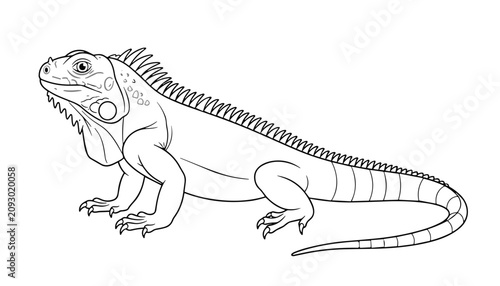 vector Detailed iguana lizard standing pose coloring page for kids line art vector illustration design