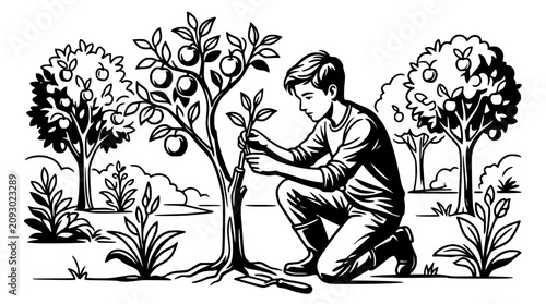 Tableau sur toile Young boy planting a sapling in a garden with fruit trees in the background, ill