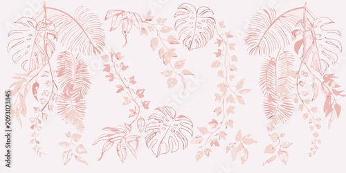 Photos lush tropical botanical illustration featuring overhanging leaves in soft pink p