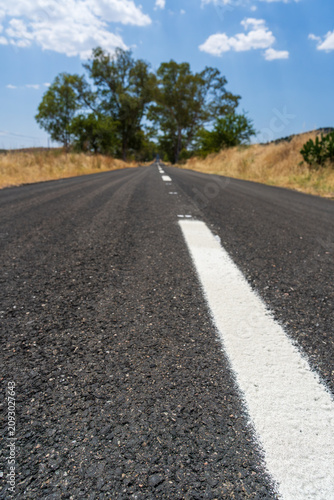 A low-angle shot captures textured asphalt and a bold white road line stretching into the distance in the Portuguese countryside. Golden dry fields and trees frame the empty rural highway