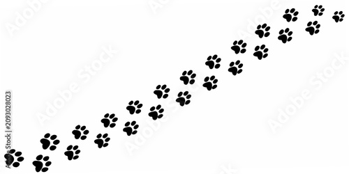 Photos Black Paw Prints Silhouette On White Background Animal Track Pattern