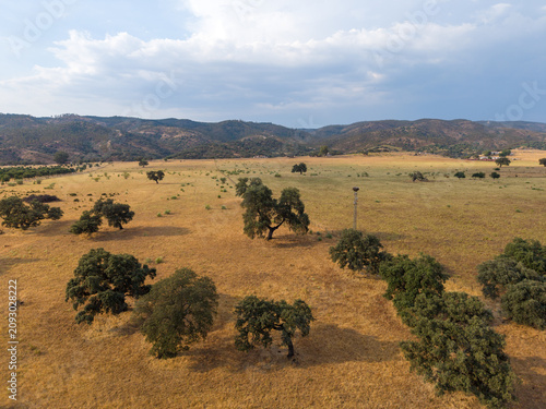 A drone view reveals sprawling dry pastureland dotted with cork oak trees across Portugal's rural Alentejo countryside. Distant rolling hills and a cloudy sky frame the golden savanna landscape
