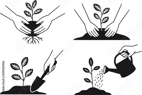 Bild auf Leinwand 若い植物を植えて水をやるプロセスの描写