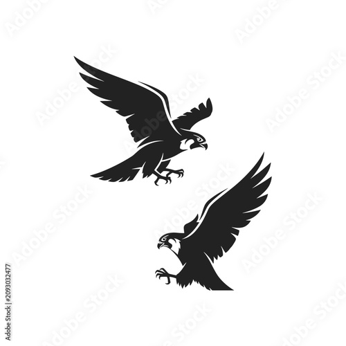 Minimalist black and white vector illustration of two majestic falcons in flight.