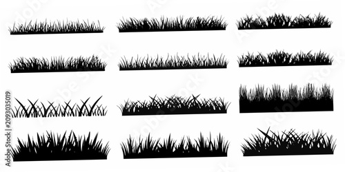 Bild auf Leinwand Collection Of Black Grass Silhouette Illustrations On White Background