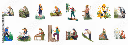 Canvastavla Collection of illustrations depicting women botanists and foragers exploring nature, studying plants, and gathering herbs in various outdoor environments