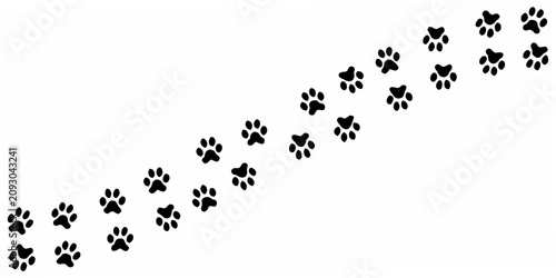 Photos Black paw print silhouettes arranged in a winding trail on a white background