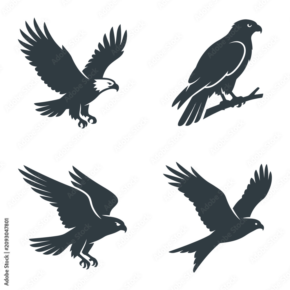 Fototapeta premium Silhouette of flying and perched eagles.