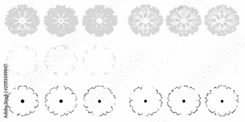 Quadro su tela collection of twelve top down tree plan views in grayscale vector view trees sil