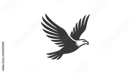 Eagle Bird Flying in Air.