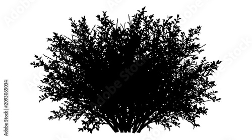 Принти на полотні CAD tree lines Tree Black tree silhouette Black tree silhouette, bushy foliage,