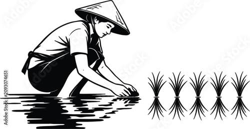 Obraz na plátně Farmer Planting Rice Seedlings in Paddy Field Vector Illustration with Tradition