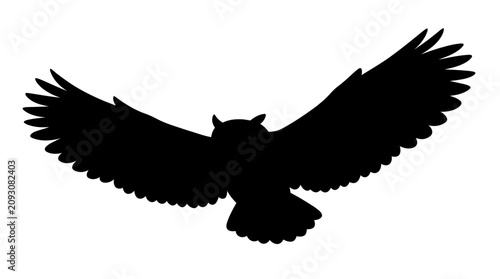 Foto Black eagle, bird silhouette, flying eagle, wingspan vector Vector