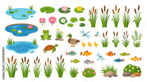Pond Life Illustration: Ducks, Frogs, Turtles, Fish, Dragonflies, Plants, Cattails