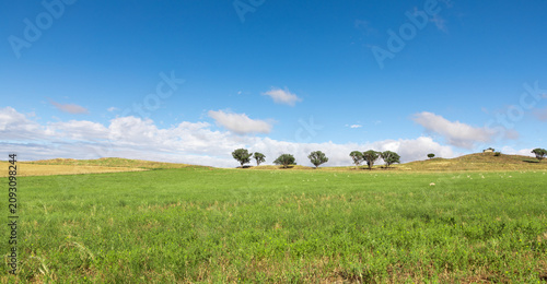 Farmland Cowra - NSW Australia. Located in central NSW this is a productive agricultural area.