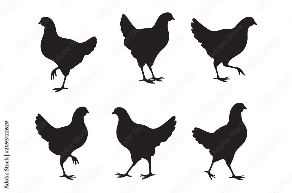 Fototapeta premium Chicken silhouettes black shapes on a white background