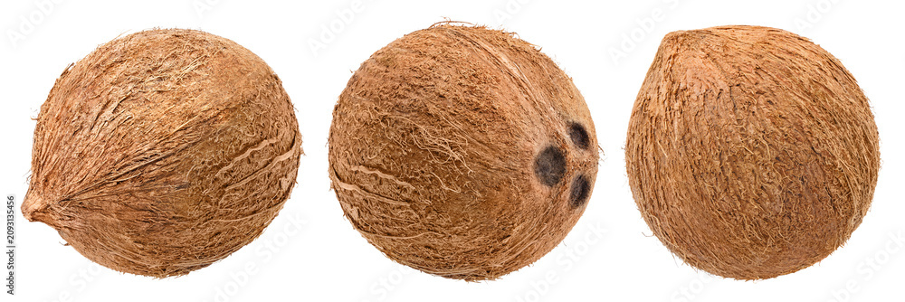 Obraz premium Set of tropical whole coconuts, isolated on transparent cutout background