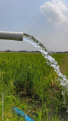 Irrigation of rice fields using pump wells with the technique of pumping water from the ground to flow into the rice fields. The pumping station where water is pumped from a irrigation canal system.