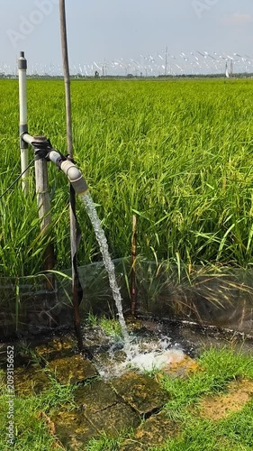 Irrigation of rice fields using pump wells with the technique of pumping water from the ground to flow into the rice fields. The pumping station where water is pumped from a irrigation canal system.