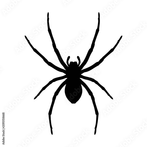 Φωτογραφία Black spider icon, spider silhouette, creepy crawly insect, vector graphic isola