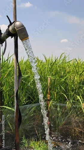 Irrigation of rice fields using pump wells with the technique of pumping water from the ground to flow into the rice fields. The pumping station where water is pumped from a irrigation canal system.