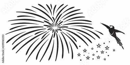 Konstfotografi Minimal black silhouette of compact fireworks burst with stars