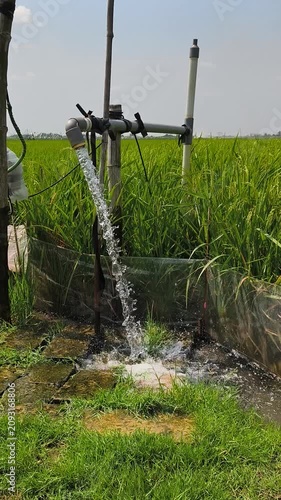 Irrigation of rice fields using pump wells with the technique of pumping water from the ground to flow into the rice fields. The pumping station where water is pumped from a irrigation canal system.