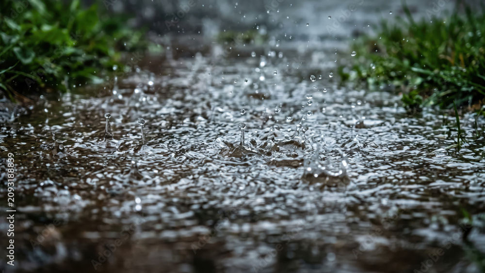 Fototapeta premium Raindrops splashing in a puddle on muddy ground close up, monsoon extreme weather