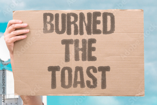 Принти на полотні "Burned The Toast" Smoke alarm morning routine again