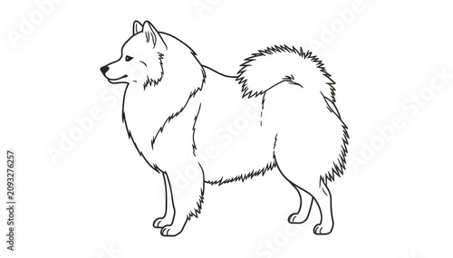Tableau sur toile American Eskimo Dog standing