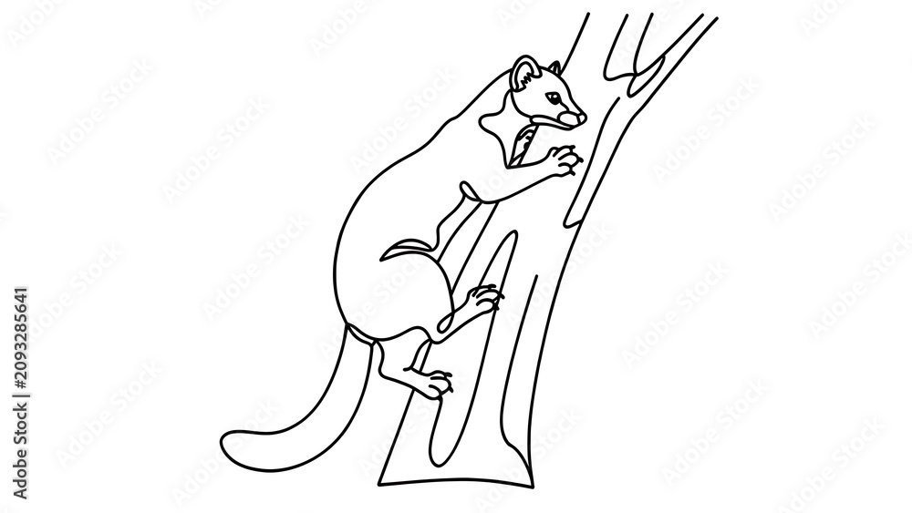 Obraz premium Kangaroo climbing tree illustration white background.
