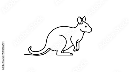 Kangaroo illustration on white background.