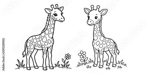 Cute giraffe coloring page for kids, cartoon baby giraffes line art vector, safari animal outline illustrations for preschool educational activities