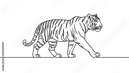 Tiger walking illustration on white background.