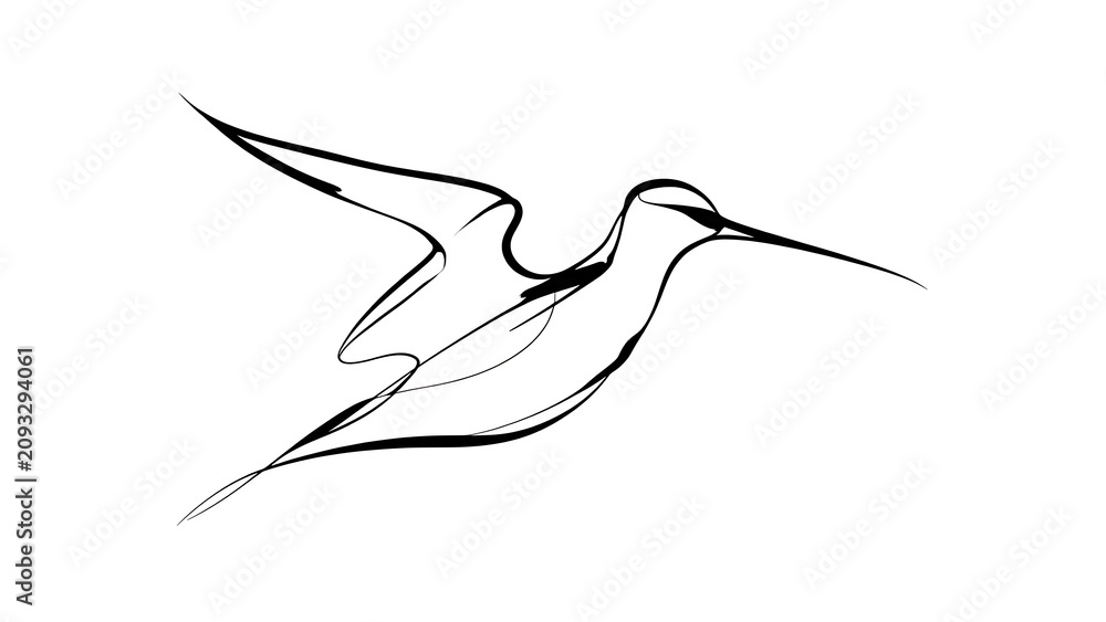 Obraz premium Hummingbird line art illustration white background.