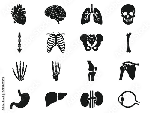Human Body Parts Icon Set