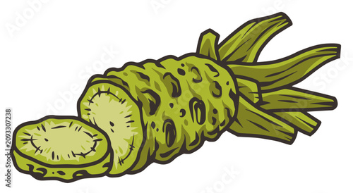 Fotografía Green wasabi root natural japanese food vegetable ingredient