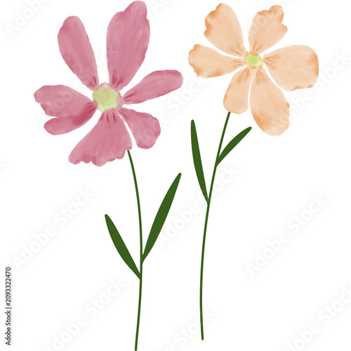 Quadro su tela beautiful flower illustration peachy pink, soft color flowers