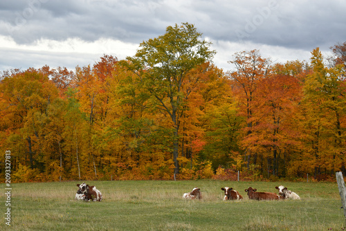 A farm in the fall, Québec, Canada