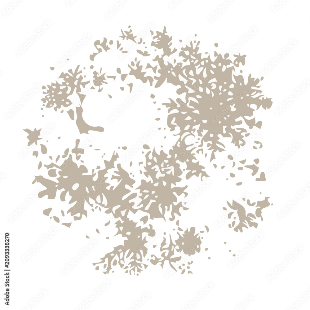 Fototapeta premium Abstract organic shape